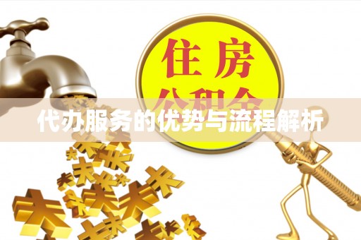 波密代办服务的优势与流程解析