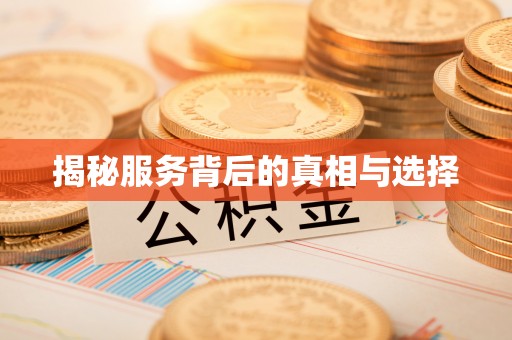 波密揭秘服务背后的真相与选择
