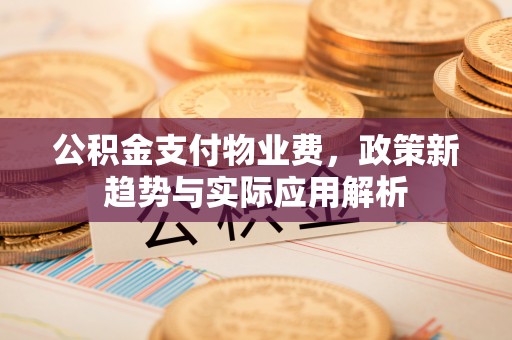 波密公积金支付物业费，政策新趋势与实际应用解析