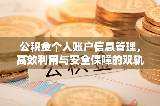 波密公积金个人账户信息管理，高效利用与安全保障的双轨并行