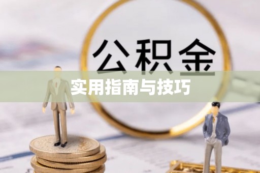 波密实用指南与技巧