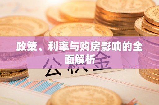 波密政策、利率与购房影响的全面解析