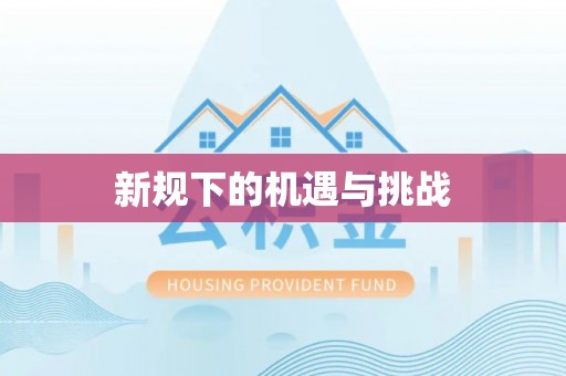 波密新规下的机遇与挑战