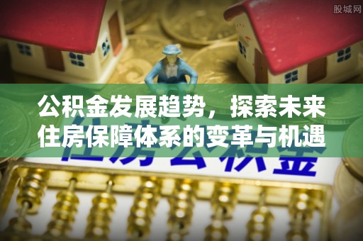 波密公积金发展趋势，探索未来住房保障体系的变革与机遇