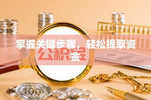 波密掌握关键步骤，轻松提取资金
