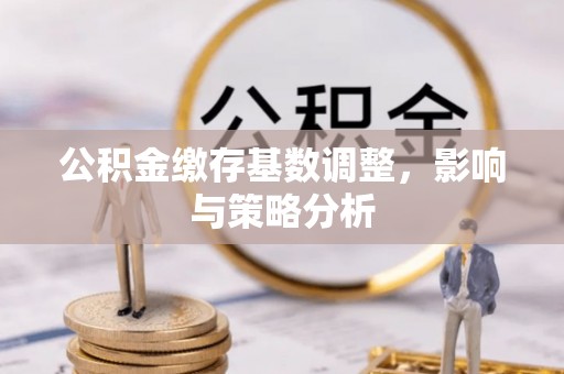 波密公积金缴存基数调整，影响与策略分析