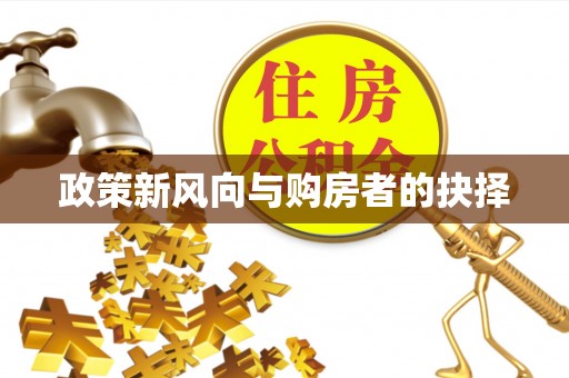 波密政策新风向与购房者的抉择