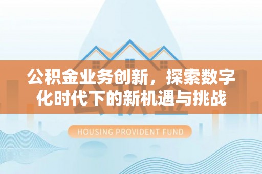 波密公积金业务创新，探索数字化时代下的新机遇与挑战