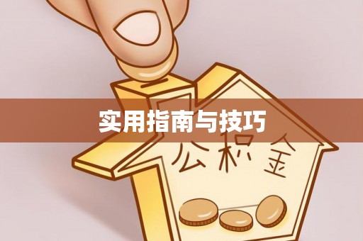 波密实用指南与技巧