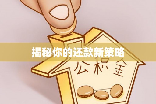 波密揭秘你的还款新策略