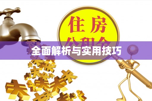 波密全面解析与实用技巧