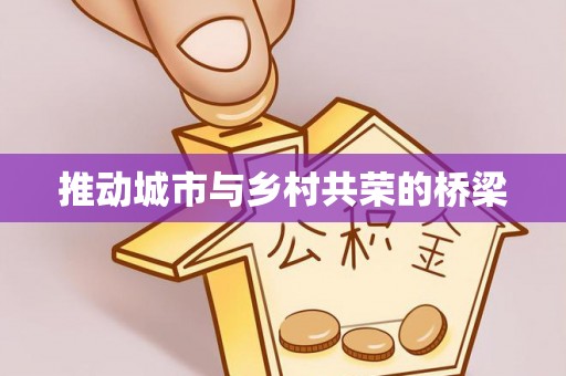 波密推动城市与乡村共荣的桥梁