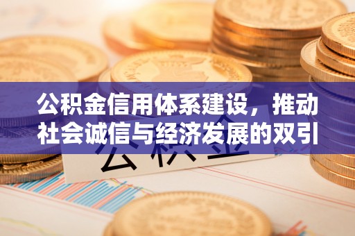 波密公积金信用体系建设，推动社会诚信与经济发展的双引擎