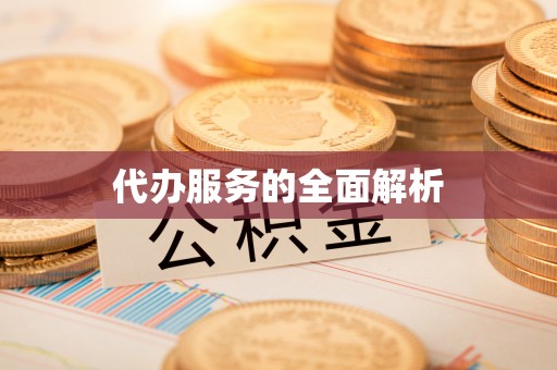 波密代办服务的全面解析