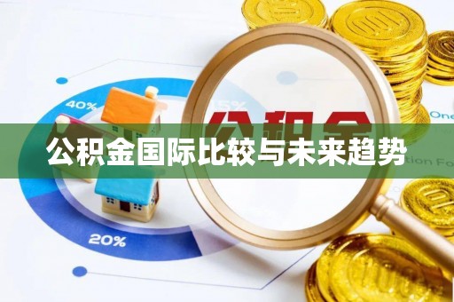 波密公积金国际比较与未来趋势