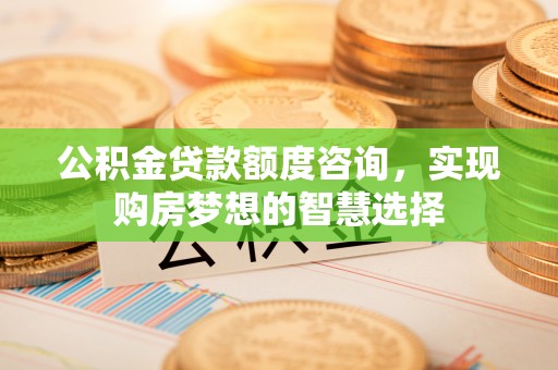 波密公积金贷款额度咨询，实现购房梦想的智慧选择