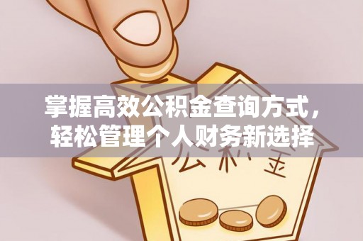 波密掌握高效公积金查询方式，轻松管理个人财务新选择