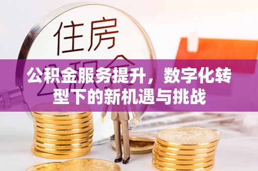 波密公积金服务提升，数字化转型下的新机遇与挑战