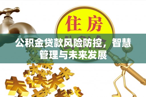 波密公积金贷款风险防控，智慧管理与未来发展