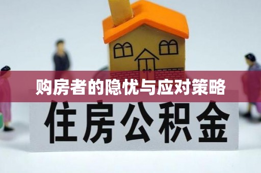 波密购房者的隐忧与应对策略