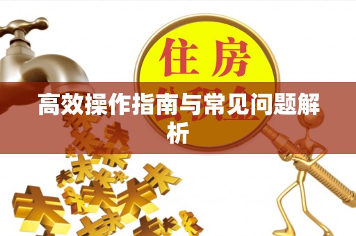 波密高效操作指南与常见问题解析
