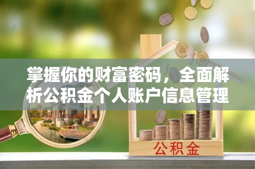 波密掌握你的财富密码，全面解析公积金个人账户信息管理与优化