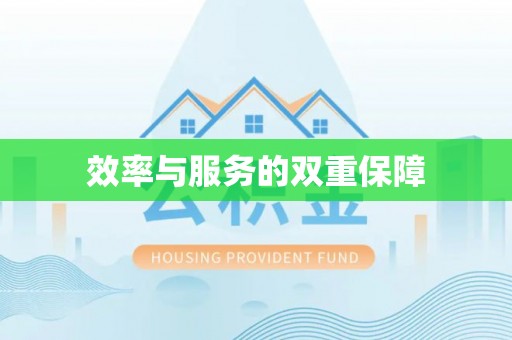 波密效率与服务的双重保障