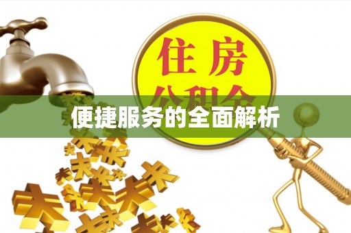 波密便捷服务的全面解析