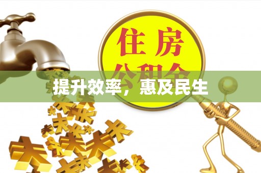 波密提升效率，惠及民生