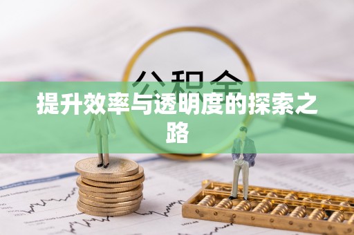 波密提升效率与透明度的探索之路