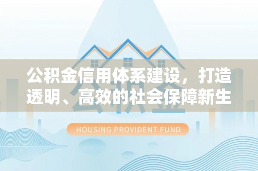 波密公积金信用体系建设，打造透明、高效的社会保障新生态