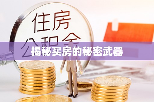 波密揭秘买房的秘密武器