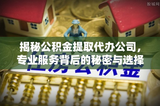 波密揭秘公积金提取代办公司，专业服务背后的秘密与选择指南
