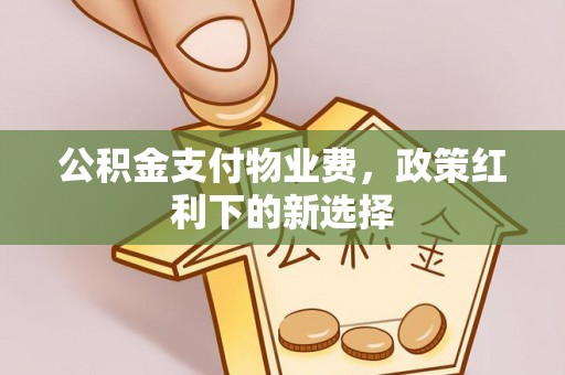 波密公积金支付物业费，政策红利下的新选择