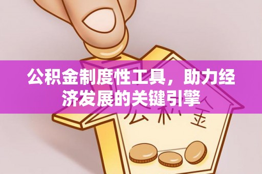 波密公积金制度性工具，助力经济发展的关键引擎