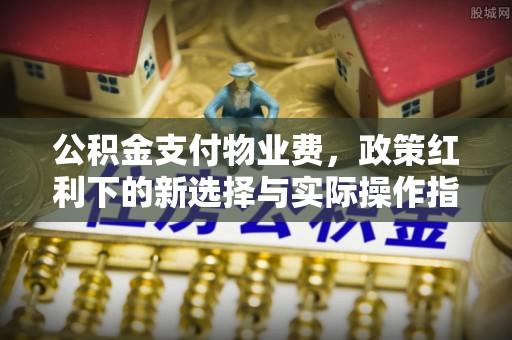 波密公积金支付物业费，政策红利下的新选择与实际操作指南