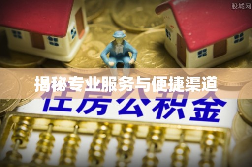 波密揭秘专业服务与便捷渠道
