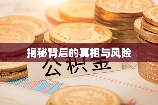 波密揭秘背后的真相与风险