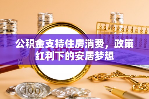 波密公积金支持住房消费，政策红利下的安居梦想