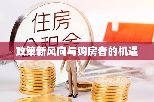 波密政策新风向与购房者的机遇