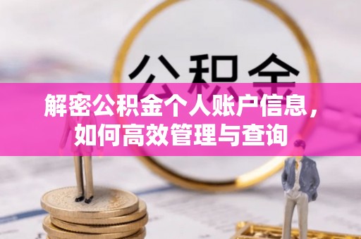 波密解密公积金个人账户信息，如何高效管理与查询