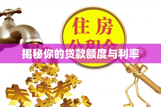 波密揭秘你的贷款额度与利率