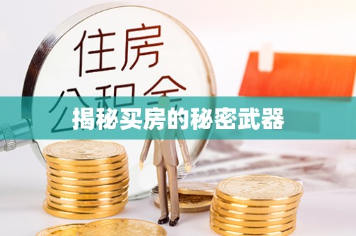 波密揭秘买房的秘密武器