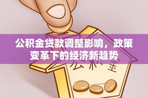 波密公积金贷款调整影响，政策变革下的经济新趋势