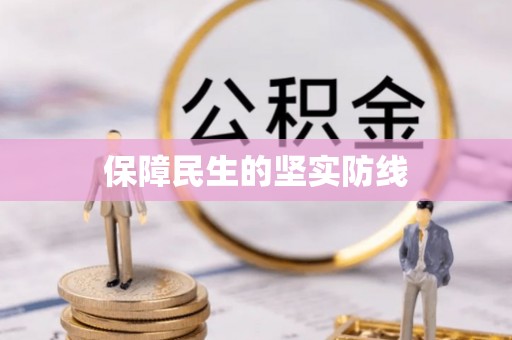 波密保障民生的坚实防线