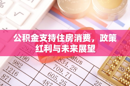 波密公积金支持住房消费，政策红利与未来展望