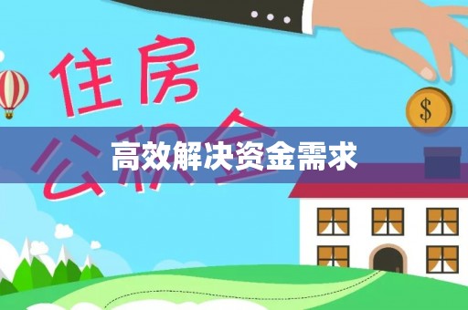 波密高效解决资金需求