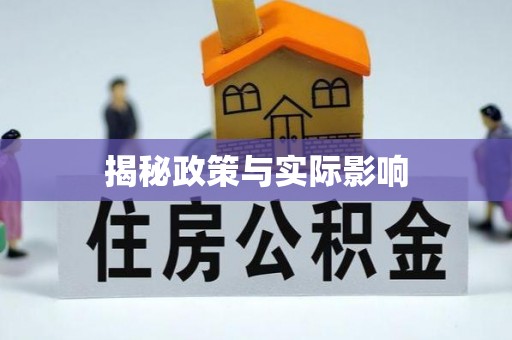 波密揭秘政策与实际影响