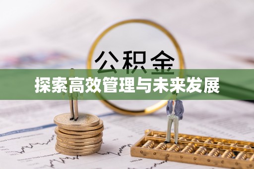 波密探索高效管理与未来发展