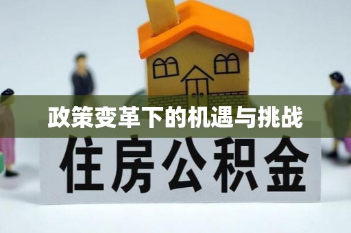 波密政策变革下的机遇与挑战